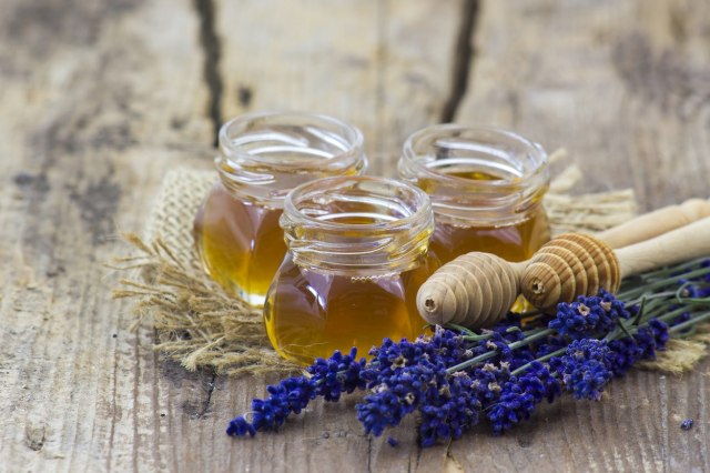 Med od lavande: Čisti pluća i umiruje kašalj; lekovitiji od bagremovog